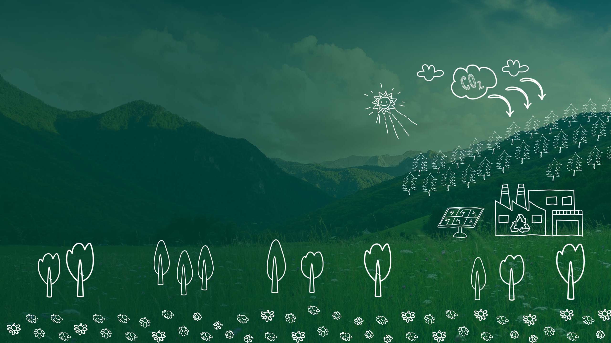 Nuove tecnologie e Carbon Neutrality: gli obiettivi di Domorental per un futuro sostenibile